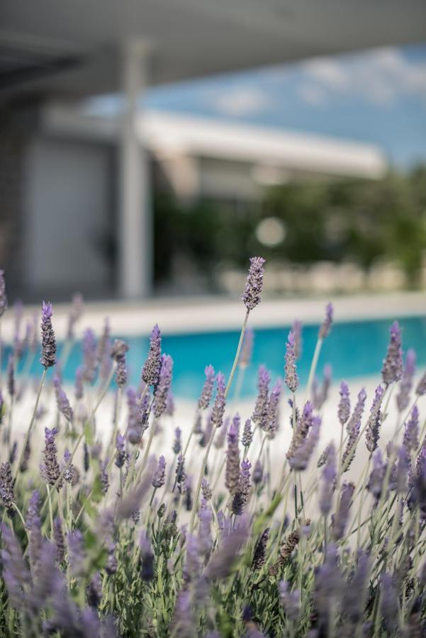 Varko Luxury Suites Palairos Экстерьер фото